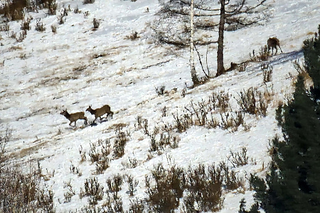 «На снегоходах к озеру Манас» - Алтай