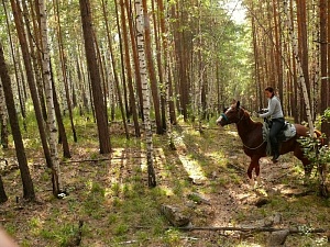 Подготовка к конному туру г. Челябинск