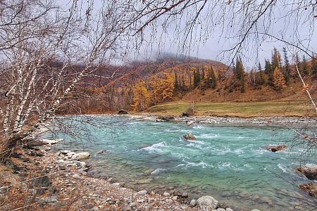 Автомобильный тур «Алтай — уникальная дорога мира»