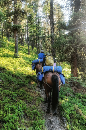 Конный тур по Алтаю «К Белухе потаённой тропой»