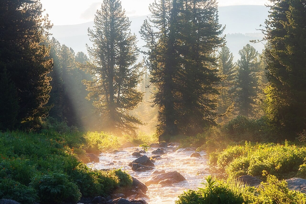 Конный тур по Алтаю «Ан`ылу»