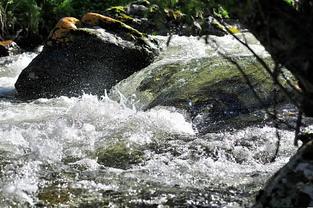 Тour équestre -  Russie Altaï  «Altai au galop»