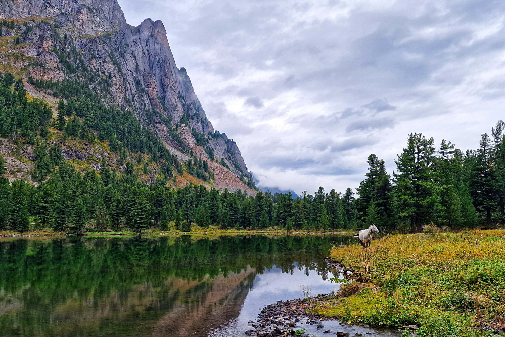 Тour équestre -  Russie Altaï «Lacs de Karakol - lac d’Ouymen»