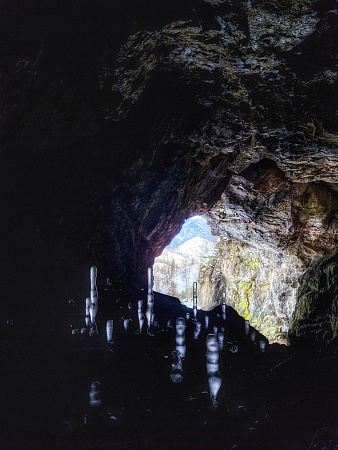 Авторский конный-коктейль тур «Легенды Алтая»