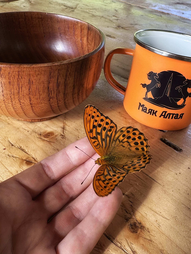 Авторский конный-коктейль тур «Легенды Алтая»