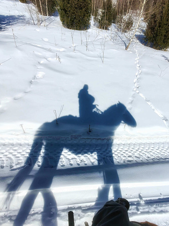 Авторский конный-коктейль тур «Легенды Алтая»