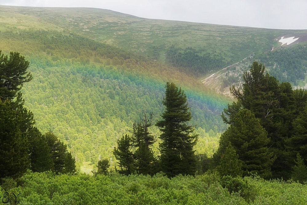 Russian Altay, Siberia. Horseback riding trip «Anylu – wonderful Altay valley»