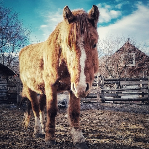 Солнце