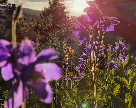 «Алтай: Духи пробуждаются»  aвторский конный тур