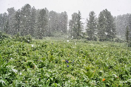 Тour équestre -  Russie Altaï  «Altai au galop»