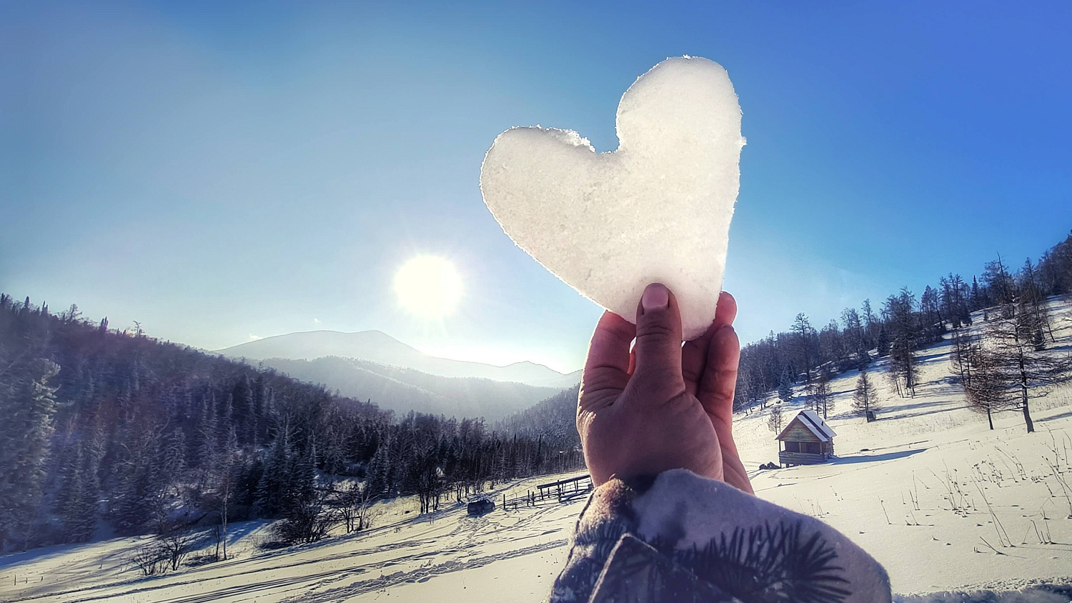 Проживание в тайге "Убежище для души"