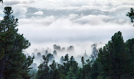 Активный тур по Алтаю «От Катуни до Каракольских озер»
