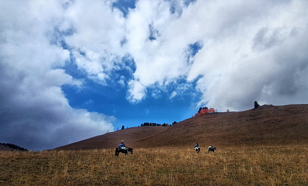 Конный тур по Горному Алтаю «Тальменное озеро»