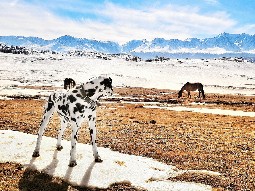 Экскурсионный авто-тур "Мой Алтай"| возможно сочетать с конным/снегоходным