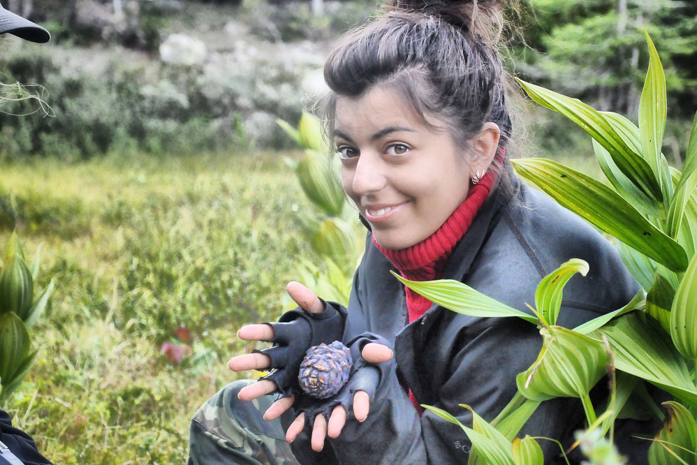 Конный тур «Уймень-озеро — сердце Алтая»