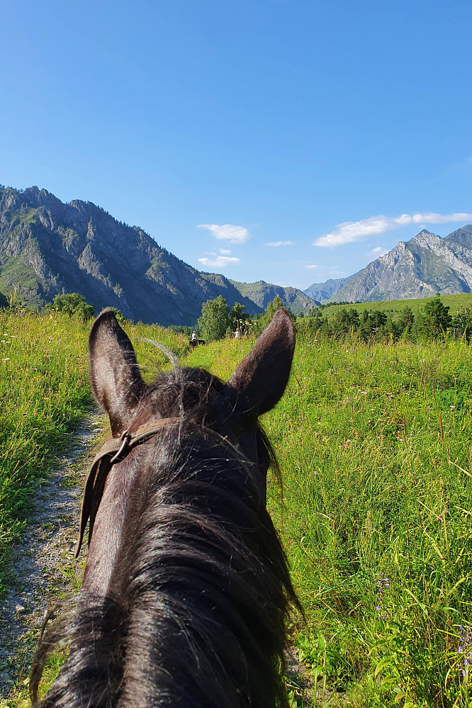 Конный тур для опытных всадников «Галопом по Алтаю»