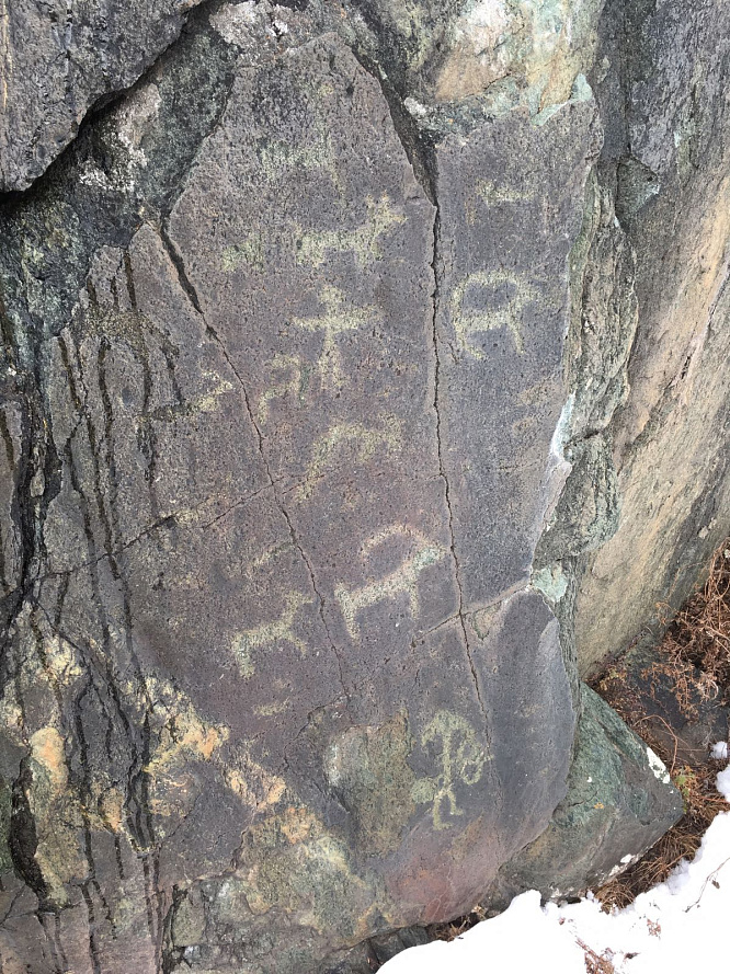 Конный тур для опытных всадников «Галопом по Алтаю»