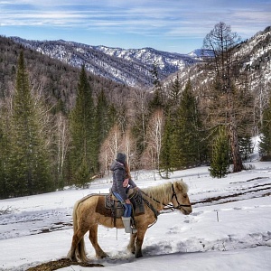 «Алтай - зимний тур на конной ферме»