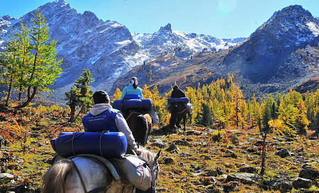 Конный тур по Горному Алтаю «Тальменное озеро»