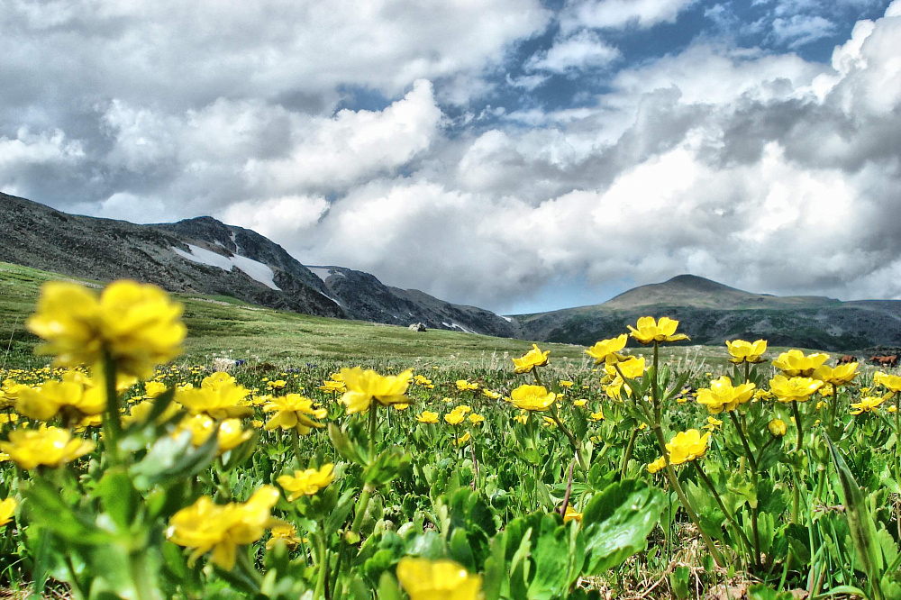 Тour équestre -  Russie Altaï «Lacs de Karakol - lac d’Ouymen»