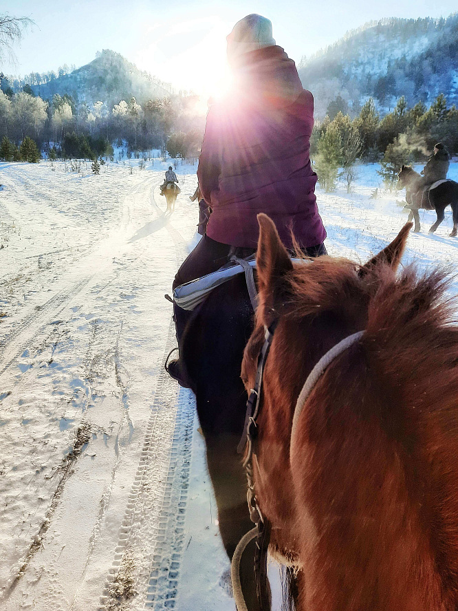Авторский конный-коктейль тур «Легенды Алтая»