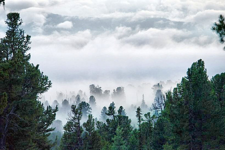 Конный тур по Алтаю «Каракольские озера — кольцевой»