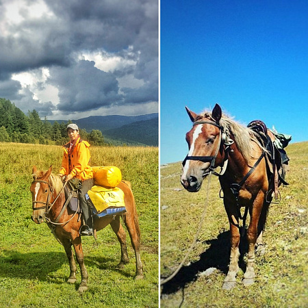 Welcome to Mayak Altaya