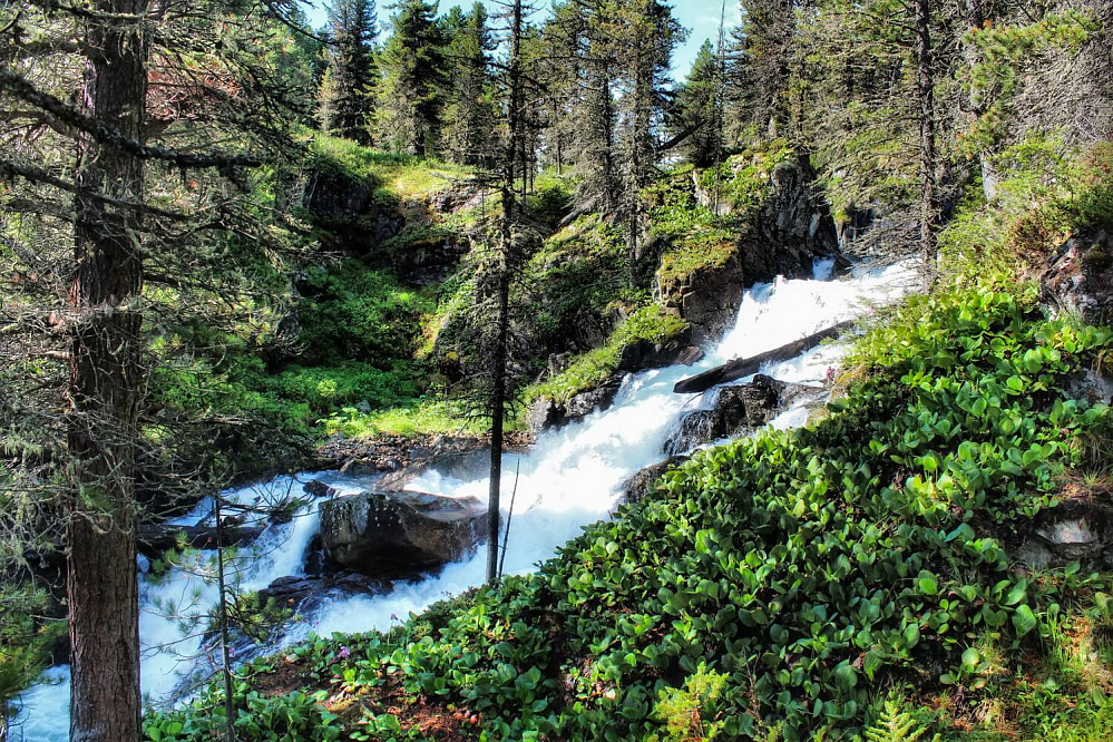 Russian Altay, Siberia. Horseback riding trip «Anylu – wonderful Altay valley»