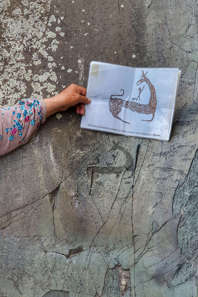 Конный тур для опытных всадников «Галопом по Алтаю»