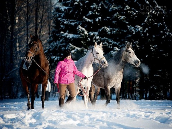 Подготовка к конному туру в Москве