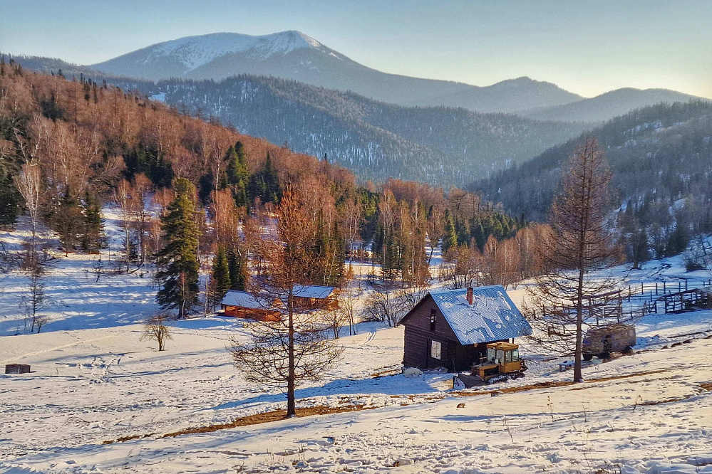 Конный тур «Зимний Алтай» с посещением таёжной заимки