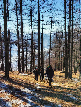 Авторский конный-коктейль тур «Легенды Алтая»