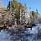 Altai - winter fairytale
