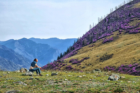 «Алтай  —  тур выходного дня» или «Майские на Алтае» 2026