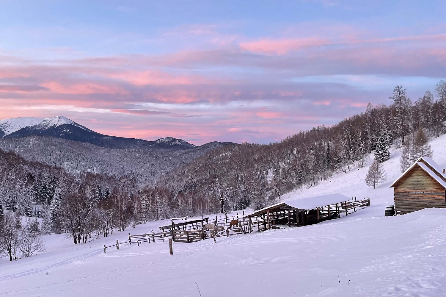 Проживание в тайге "Убежище для души"