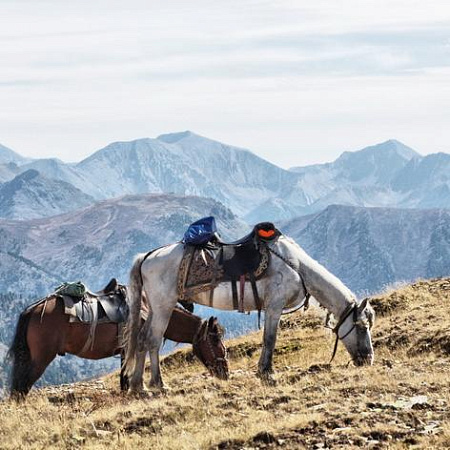  Russian Altay, Siberia. Horseback riding trip «Altai Mountains at a glance»