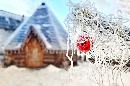 «Алтай: Новый год | 23 февраля | 8 марта» - конный тур