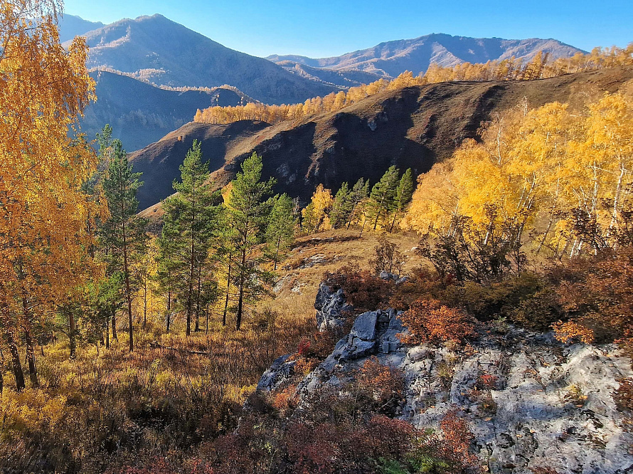 Авто - конный тур "Осенний Алтай"