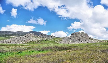 Конно-водный тур «Алтай для новичков»