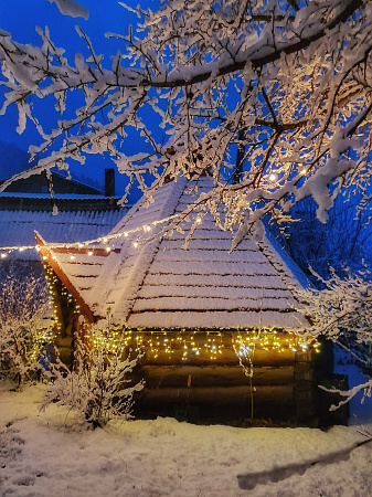 Экскурсионный авто-тур "Мой Алтай"| возможно сочетать с конным/снегоходным