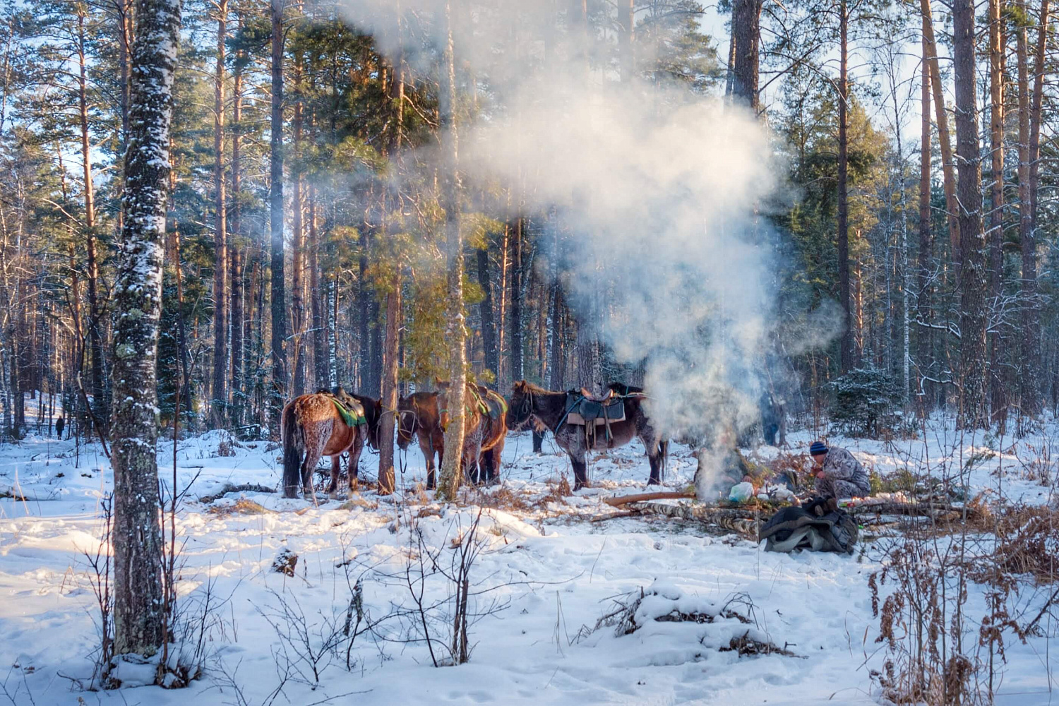 Авто / Конная экскурсия «Голубые озера Алтая»