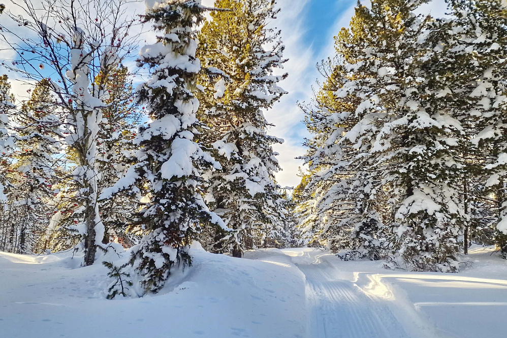 Снегоходная прогулка «Алтай: два перевала»