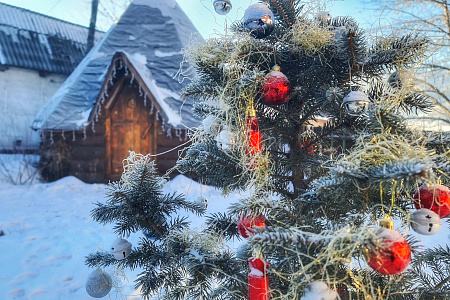 «Алтай: Новый год | 23 февраля | 8 марта» - конный тур