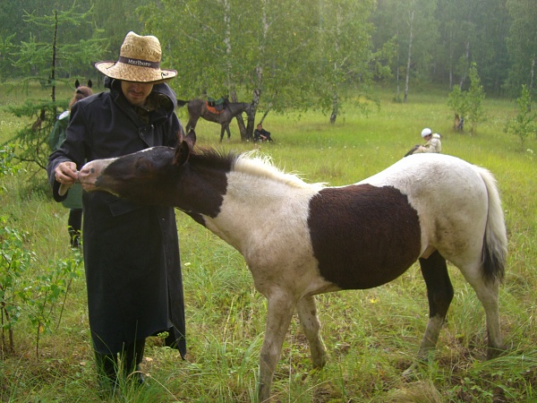 Подготовка к конному туру г. Челябинск
