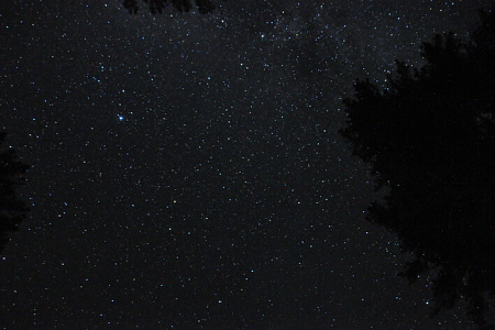 Тour équestre -  Russie Altaï  «Altai au galop»