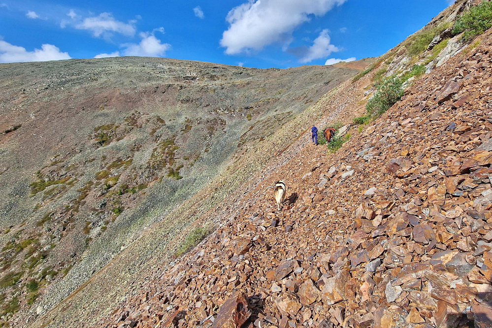 Конный тур «Алтай — страна Чудес»