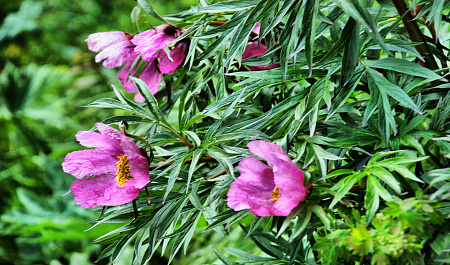Конно-водный тур «Алтай для новичков»