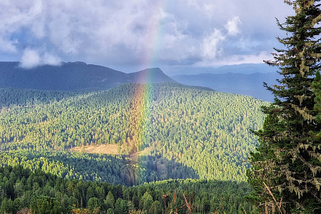  Russian Altay, Siberia. Horseback riding trip «Altai Mountains at a glance»