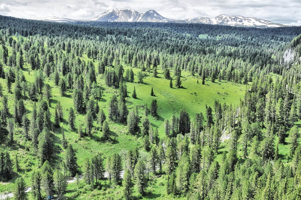 Конный тур «Уймень-озеро — сердце Алтая»