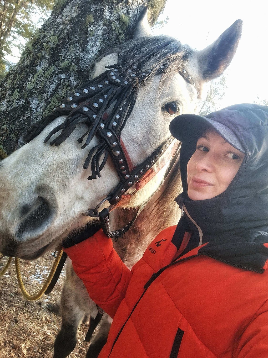 Конная прогулка "Алтай -  вершина мира"